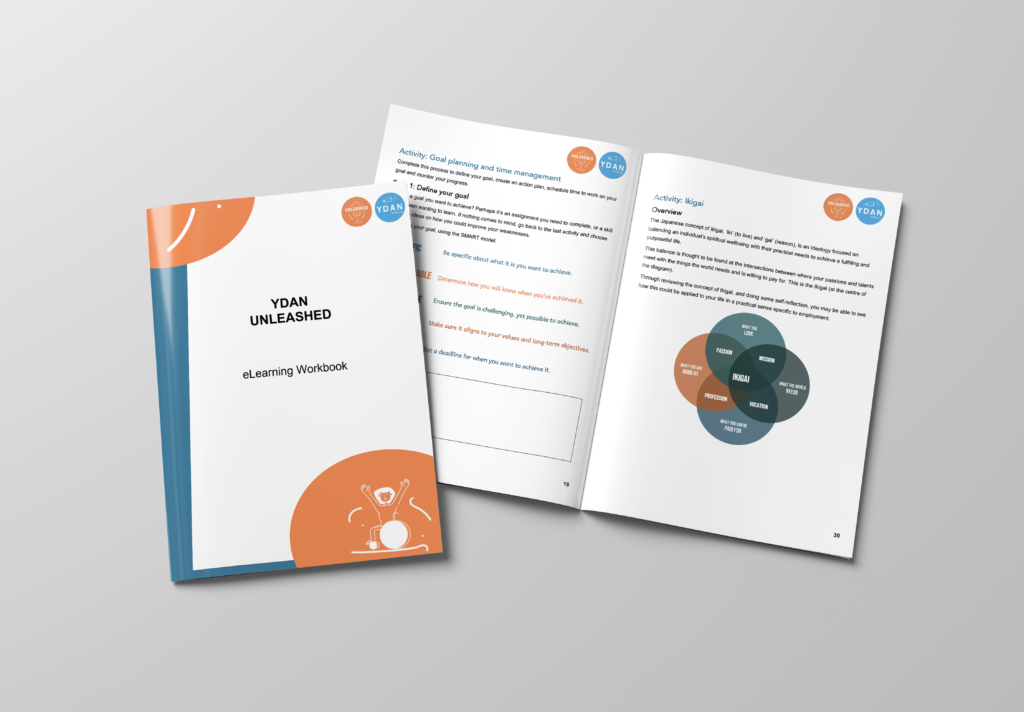 YDAN UNLEASHED workbook