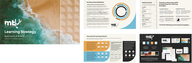 Mineral Technologies Learning Strategy