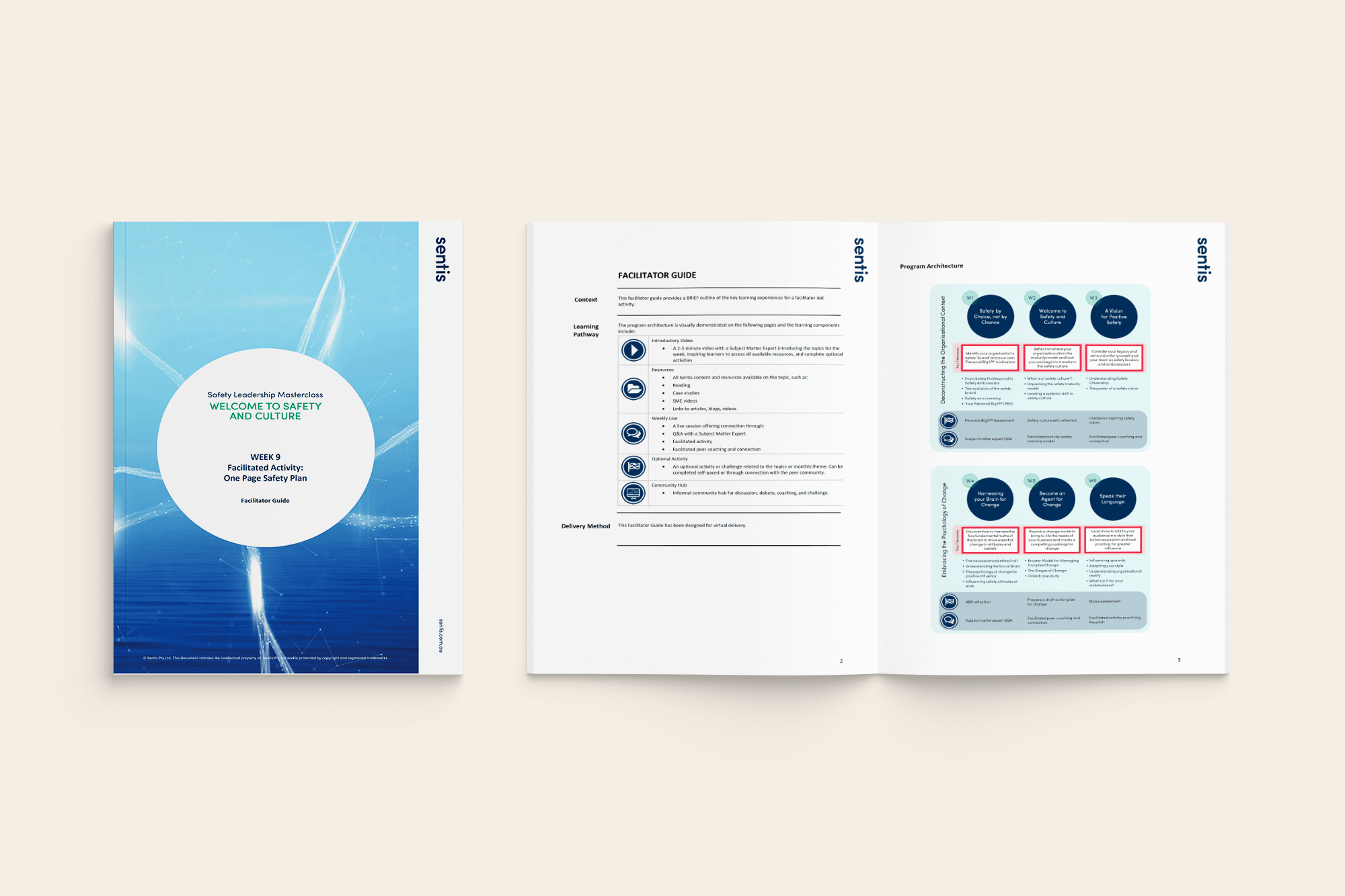 Sentis Book